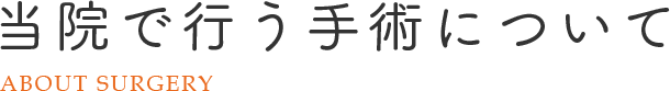 当院で行う手術について